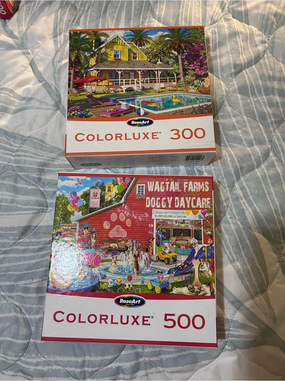 ColorLuxe 300 & 500 Puzzle Boxes - Doggy Daycare & Florida Keys Home